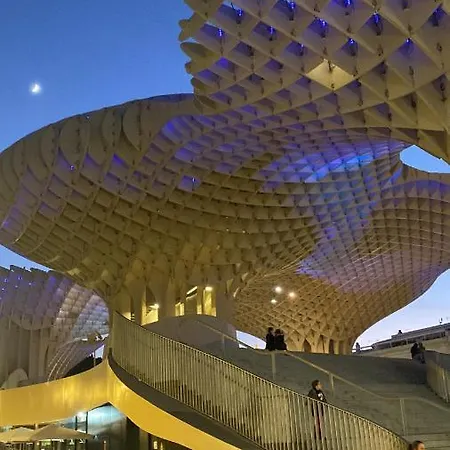 Setas * Siviglia